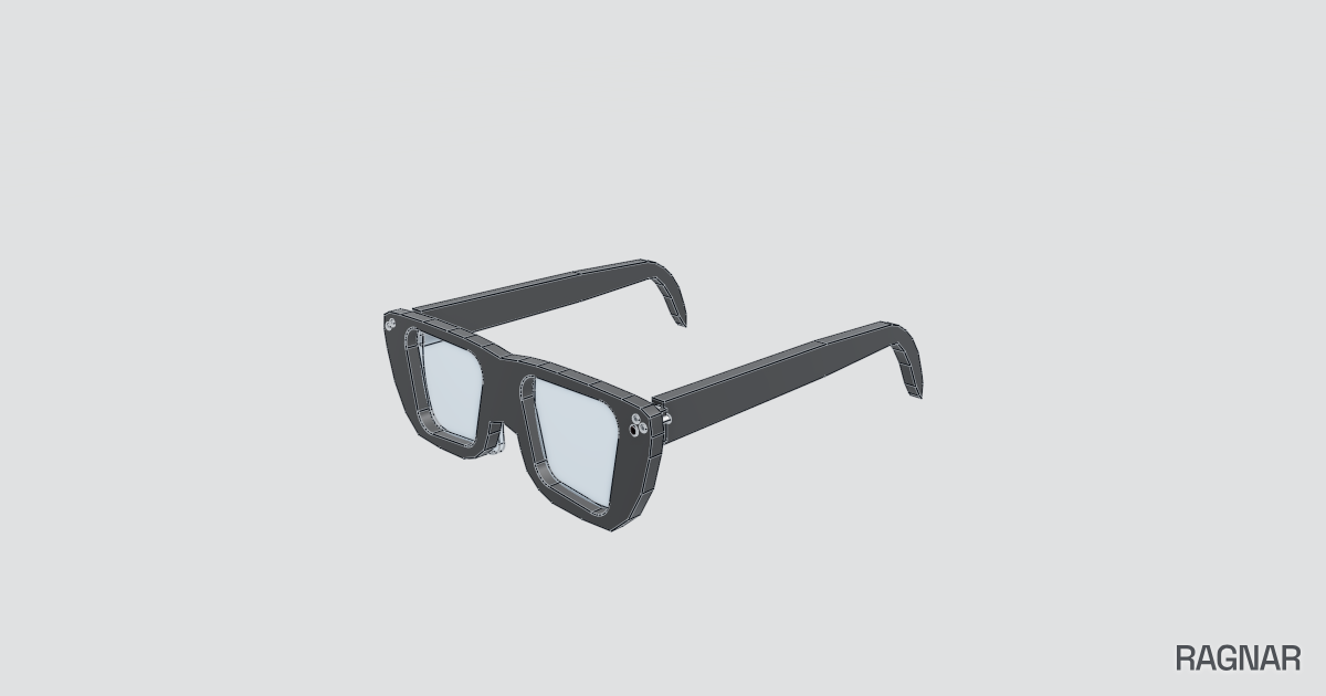 Smart Privacy Glasses