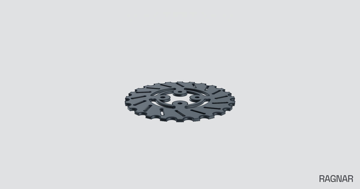 Baja Brake Rotor