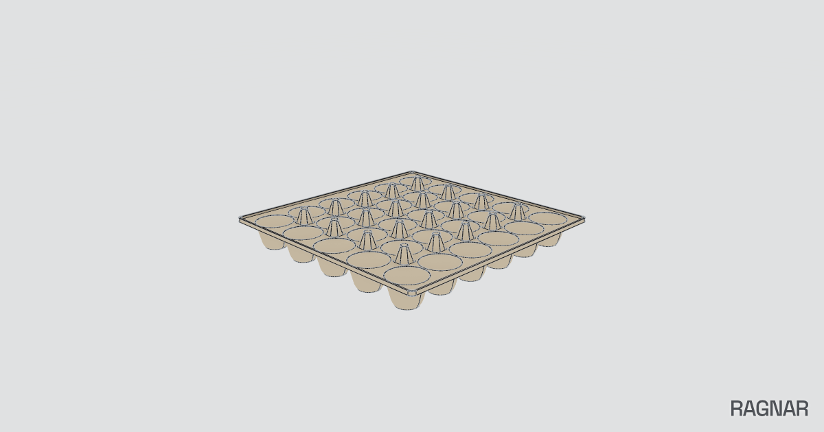 Large egg tray