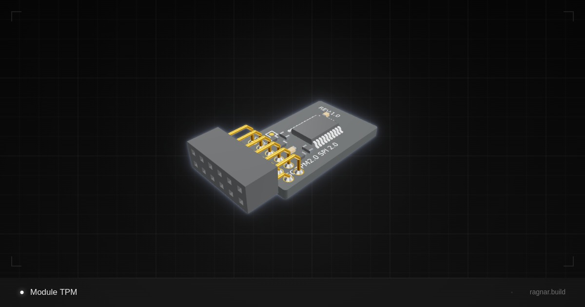Module TPM