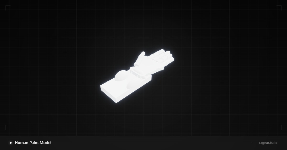 Human Palm Model