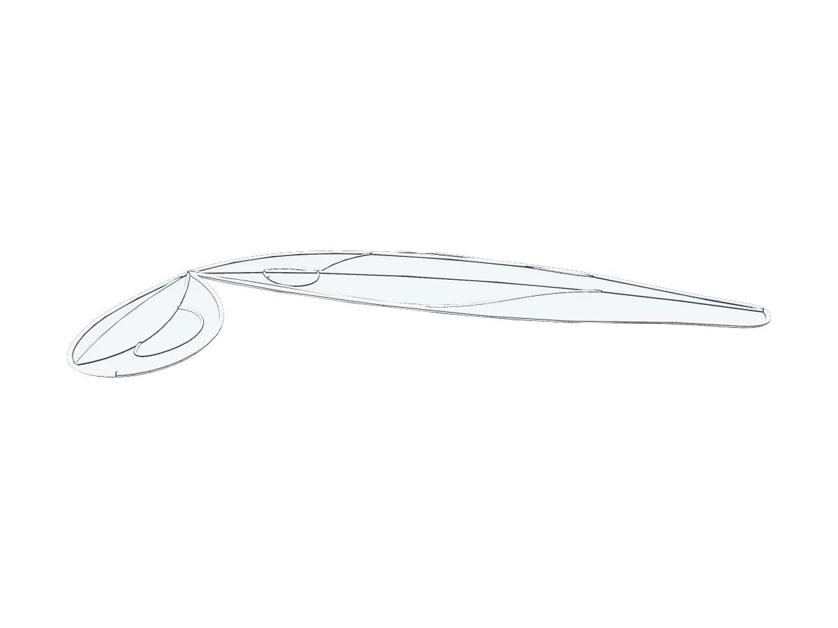 Fairy Wing