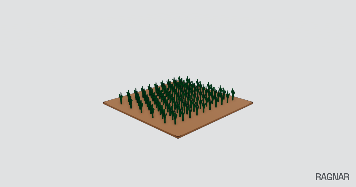 Grassy Field