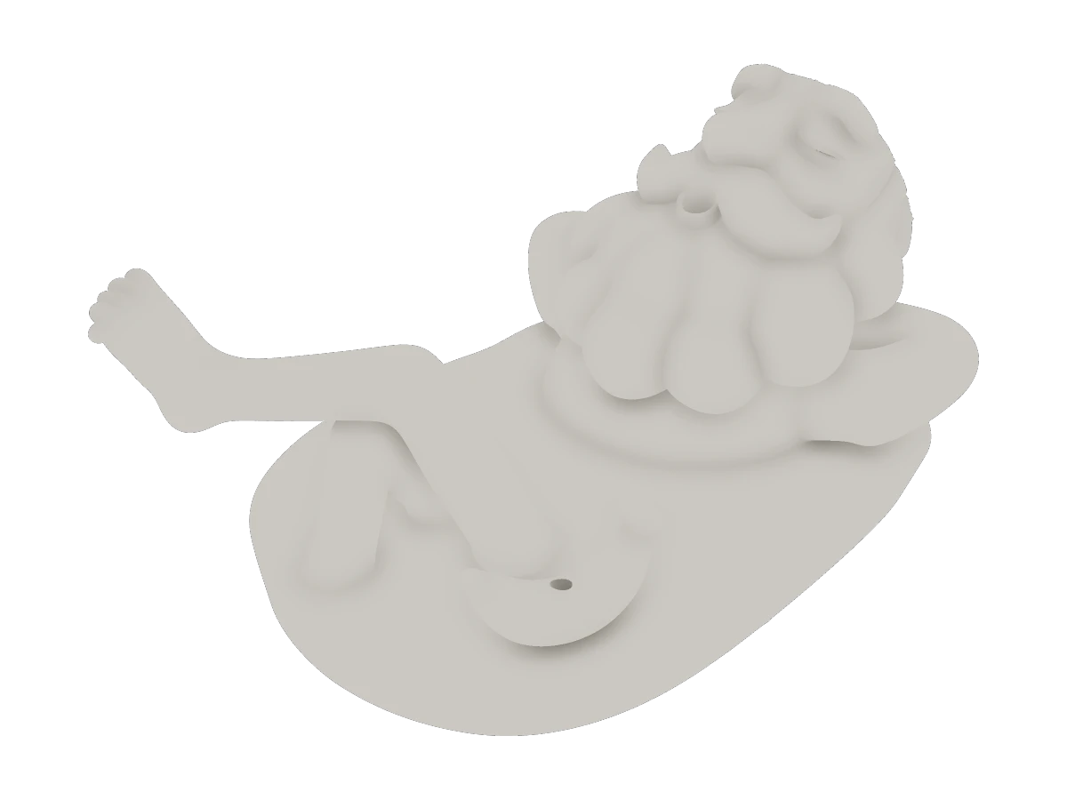 Polished Figure Head