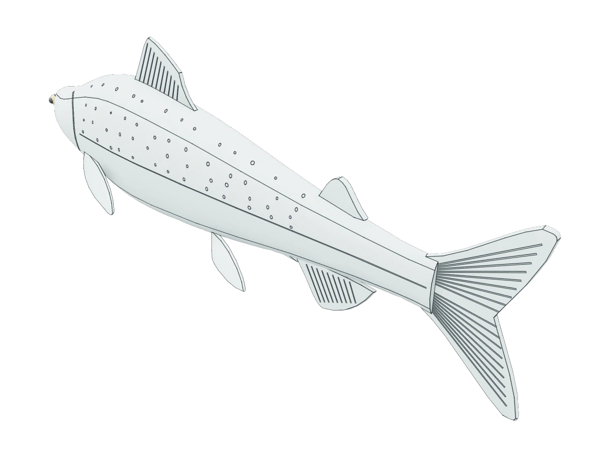 Anatomical Fish Model