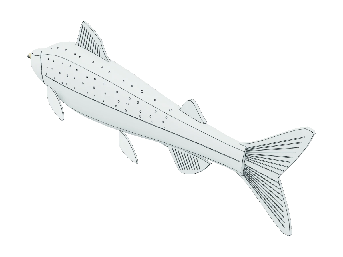 Anatomical Fish Model
