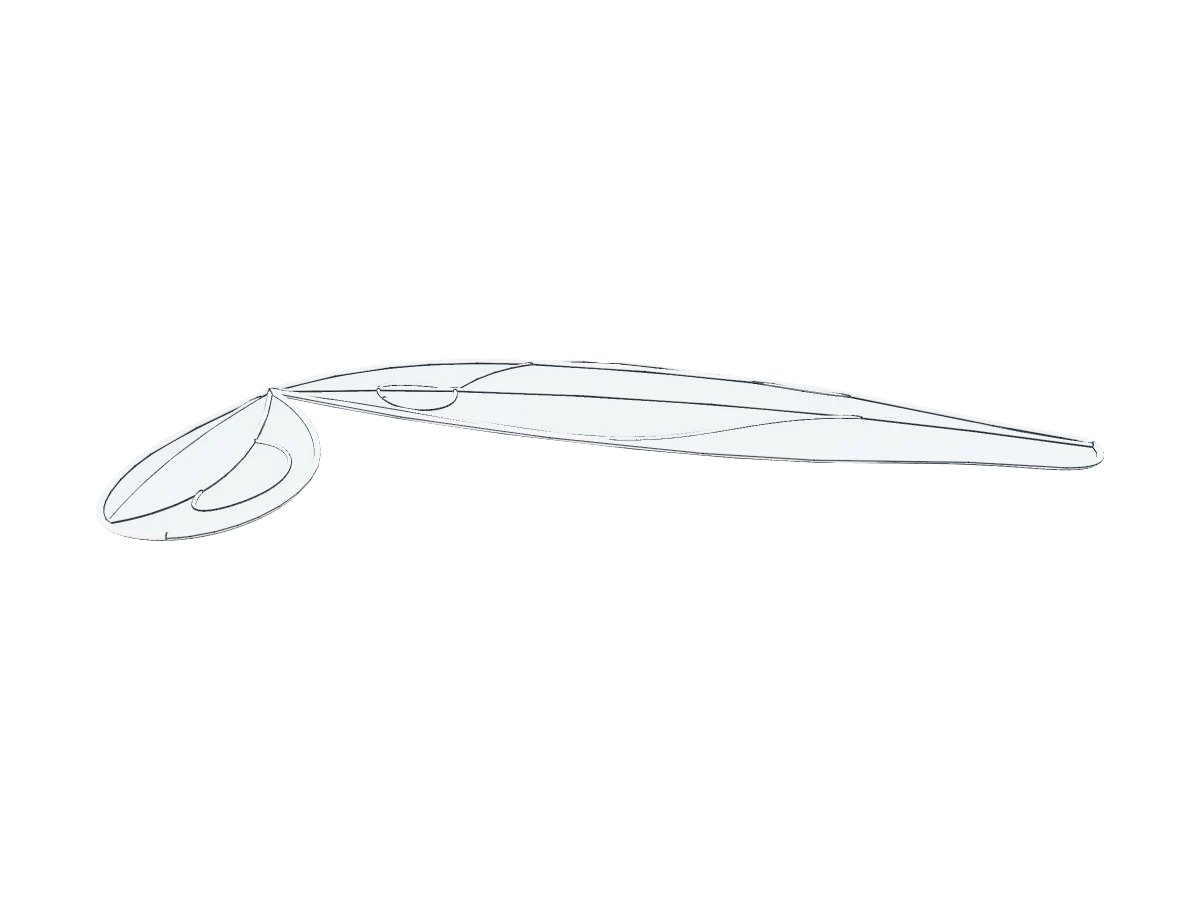 Fairy Wing